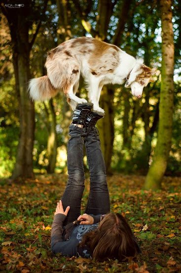 DogFrisbee