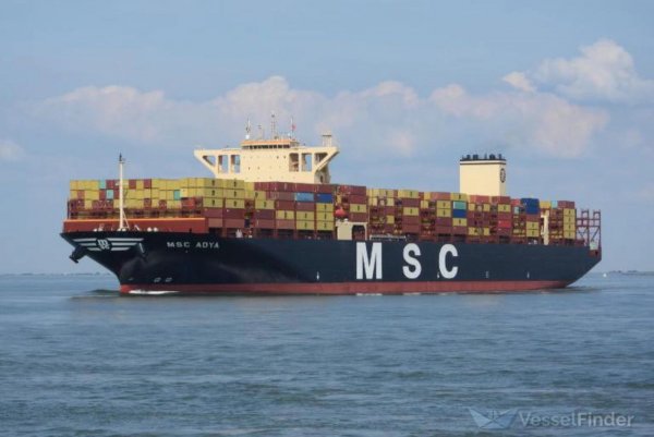 Gigant w Porcie Gdynia. Zobacz MSC Adya z bliska