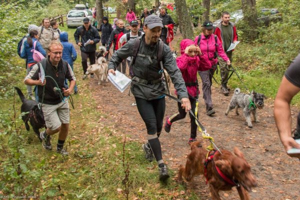 Pomorski Puchar Dogtrekkingu