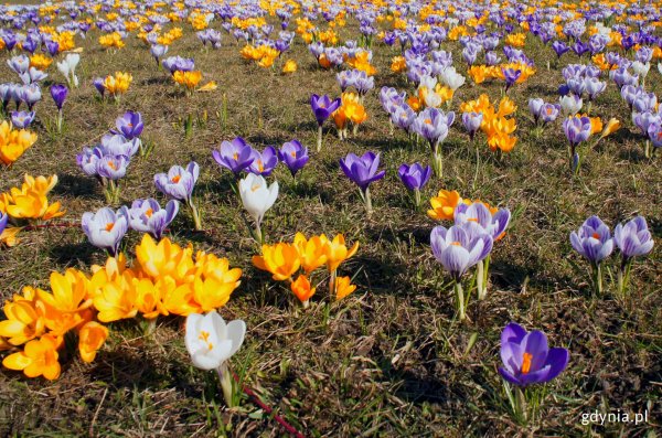 Jak spędzić weekend #wGdyni