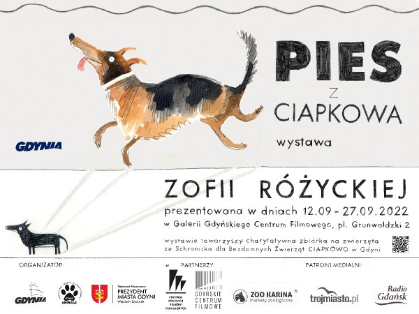 Pies z Ciapkowa – zobacz wystawę, wesprzyj zwierzaki