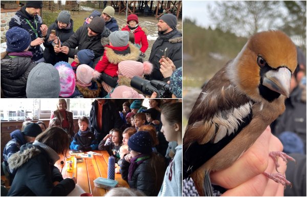 Ptasi sezon zakończony, ornitolodzy podliczają akcję