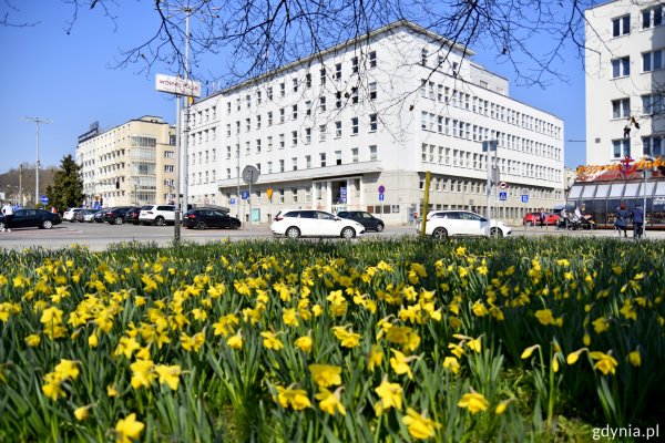 „Pola Nadziei”: liczy się solidarność i wzajemne wsparcie!