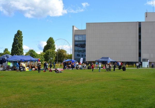 Gdyńskie obchody Dnia Godności Osób z Niepełnosprawnością Intelektualną 