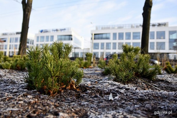 Jak Gdynia dba o wodę? Źródło życia jest tu pod specjalną ochroną