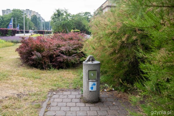 Spragniony? Skorzystaj z poidełka #wGdyni