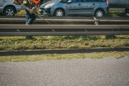 W Gdyni rozpoczęły się tegoroczne prace związane z koszeniem miejskich terenów zielonych (fot. Marcin Mielewski)