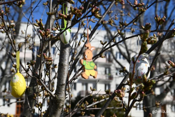 W Gdyni nieśmiało zadomowiała się wiosna (fot. Adrianna Jaskółka)