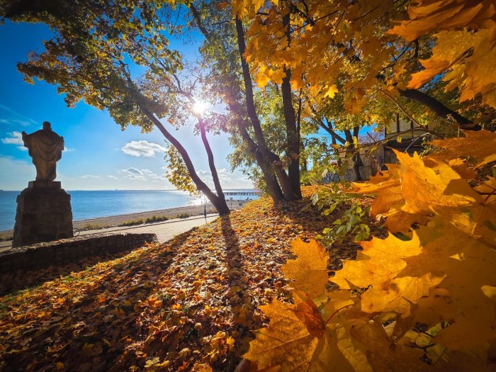 W Gdyni jesień w pełni. Zdjęcie z naszej grupy na FB „Gdynia w obiektywie