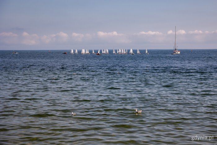 Zapraszamy na weekend do Gdyni! (fot. Karol Stańczak)