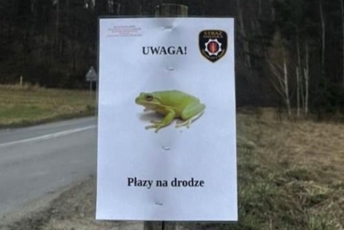 Strażnicy miejscy w Gdyni przygotowali nowe tabliczki ostrzegające kierowców (fot. Leonard Wawrzyniak)