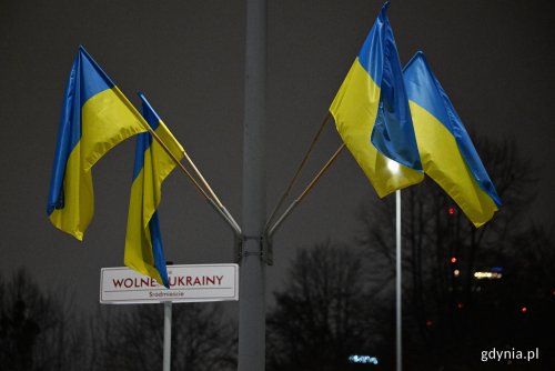 Gdynia przekaże agregat prądotwórczy, który trafi do szpitala dziecięcego w Kijowie. (fot. Michał Puszczewicz)