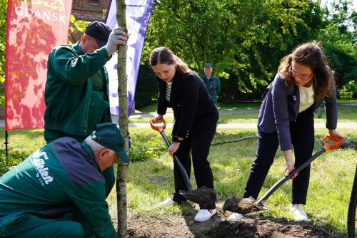 Prezydent Gdańska Aleksandra Dulkiewicz wraz z prezydent Gdyni Aleksandrą Kosiorek podczas sadzenia drzew na skwerze im. Ignacego Daszyńskiego w Gdańsku (fot. Magdalena Starnawska)