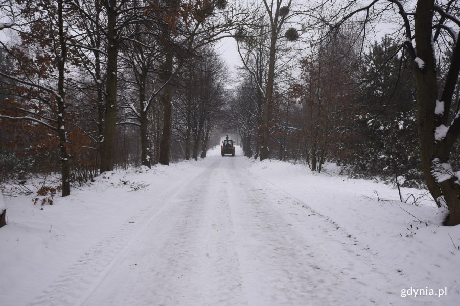 Utwardzonym fragmentem ulicy Krauzego kierowcy mogą jeździć od soboty, 22 grudnia // fot. Sławomir Okoń