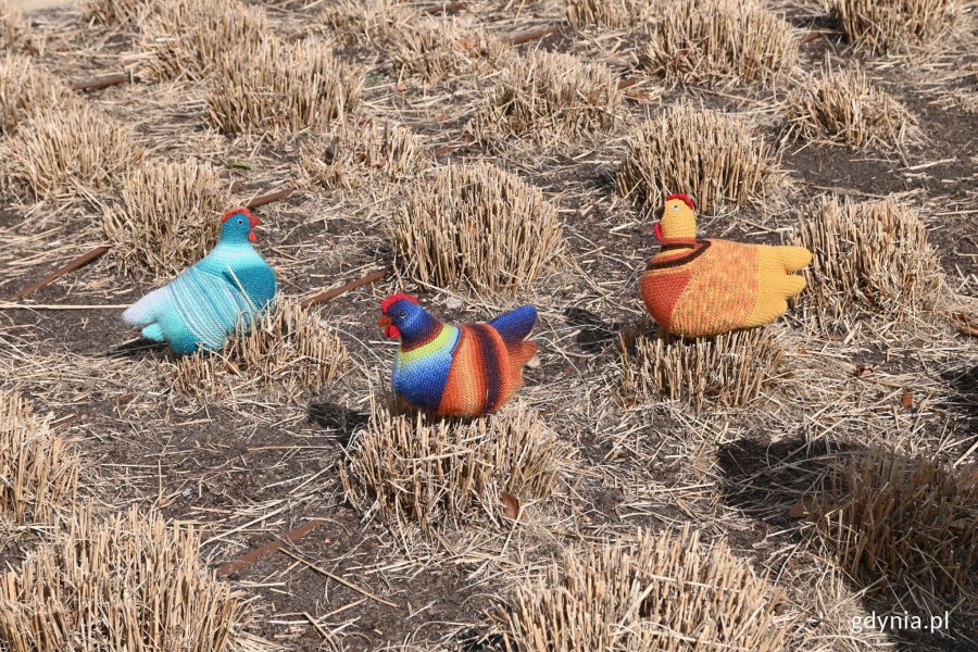 Wesoł&euml;ch Jastr&oacute;w! (fot. Adrianna Jask&oacute;łka)