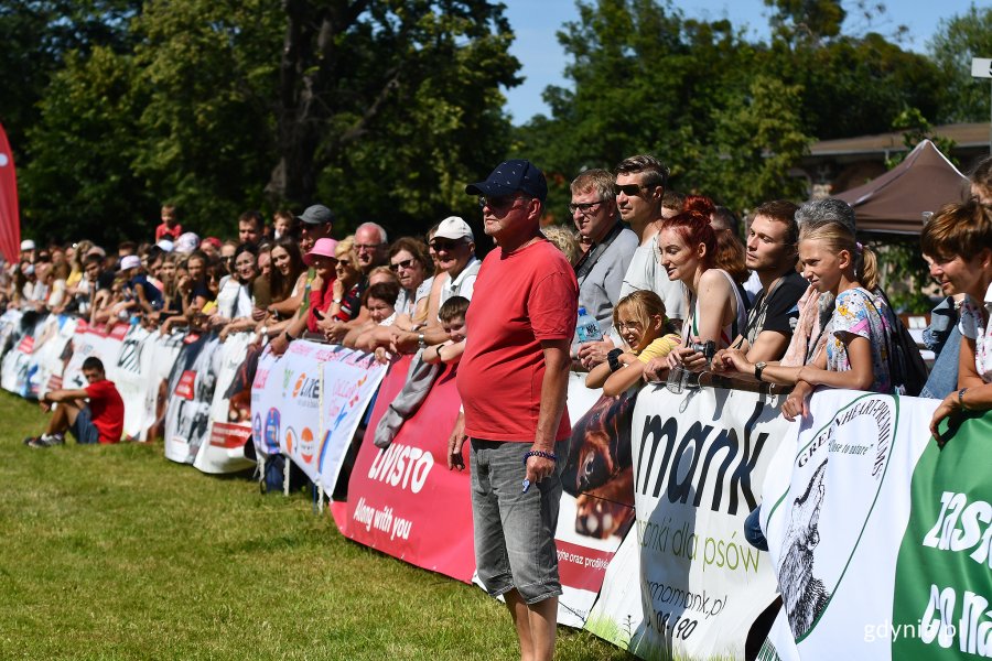 XXIV Krajowa Wystawa Psów Rasowych, fot. Michał Puszczewicz