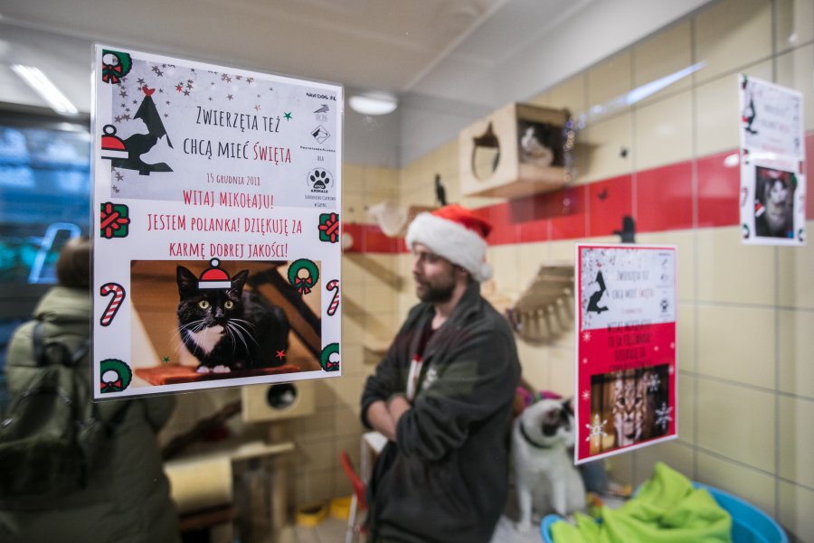 Finał akcji „Zwierzęta też chcą mieć święta” w gdyńskim Ciapkowie, fot. Karol Stańczak