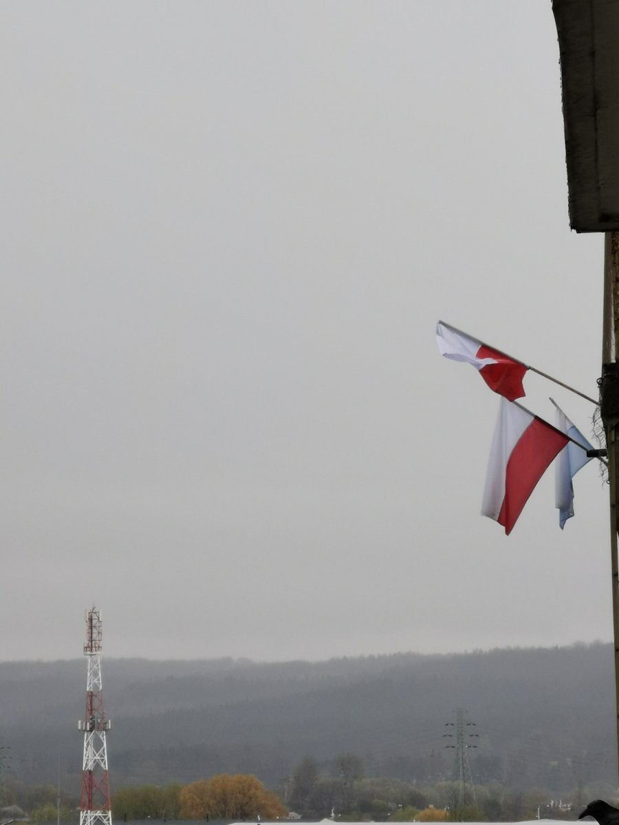 Biało-czerwona flagi wywieszone przy oknach, fot. Paulina Płotka