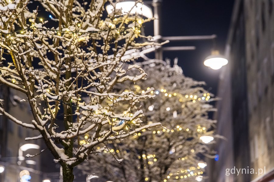 Ulica Świętojańska (fot. Paweł Budziński)