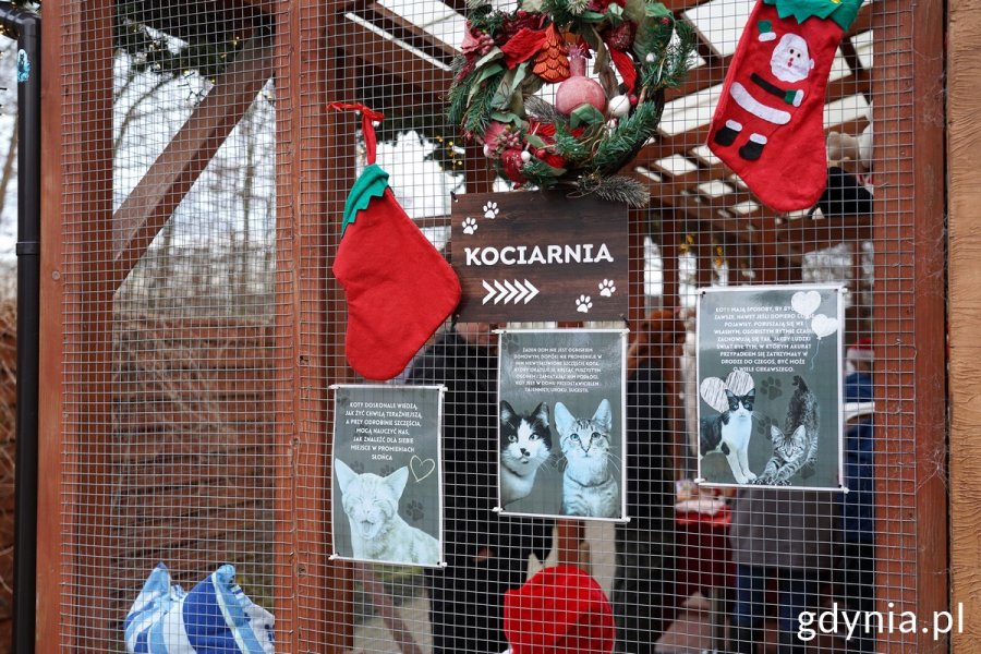 Kierunkowskaz: kociarnia i ozdoby świąteczne