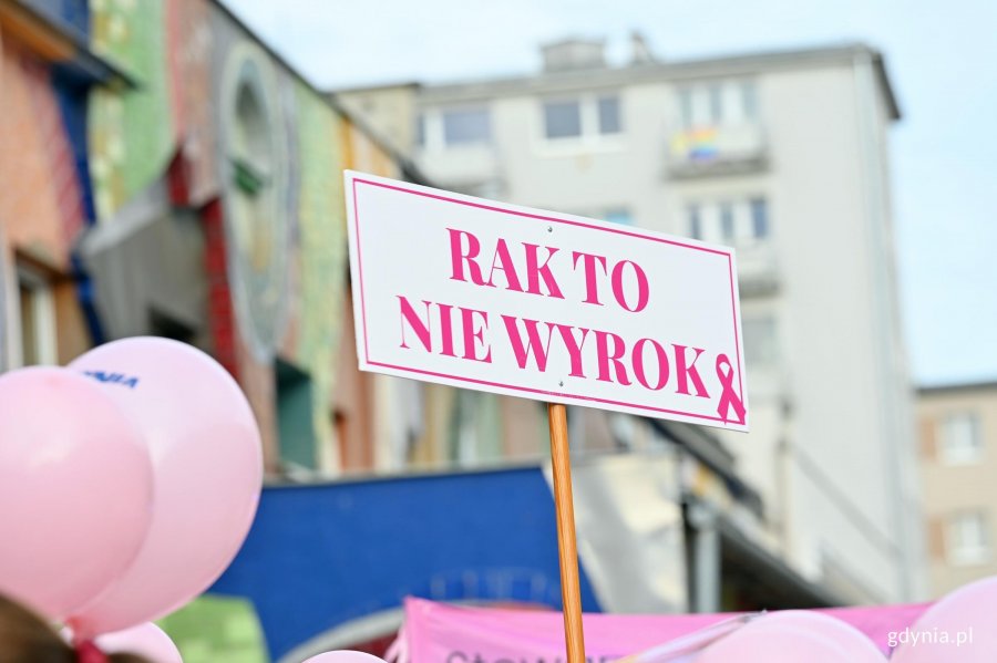 Tabliczka z hasłem &bdquo;Rak to nie wyrok&rdquo; podczas Marszu R&oacute;żowej Wstążki