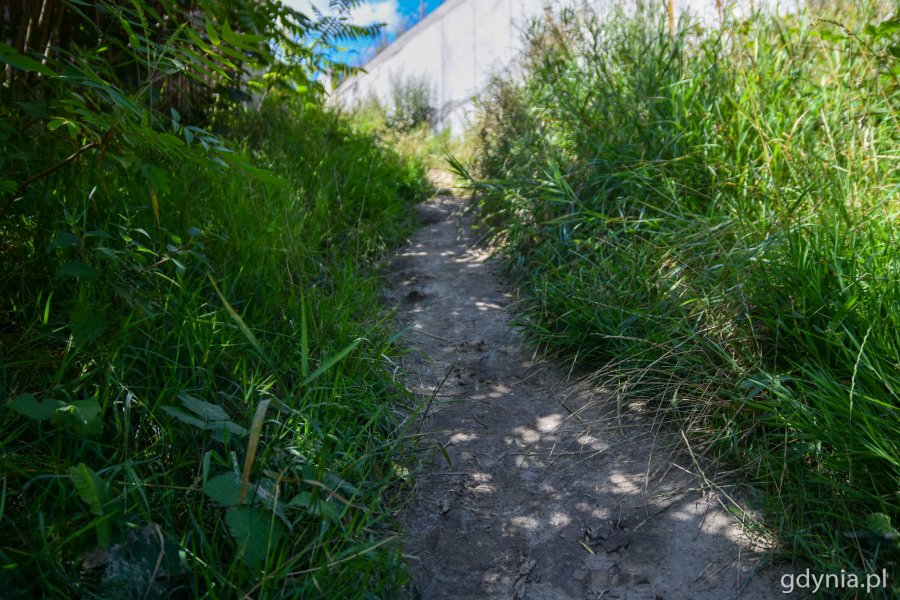 Do ulicy Arciszewskich poprowadzą schody techniczne /fot. Paweł Kukla, gdynia.pl