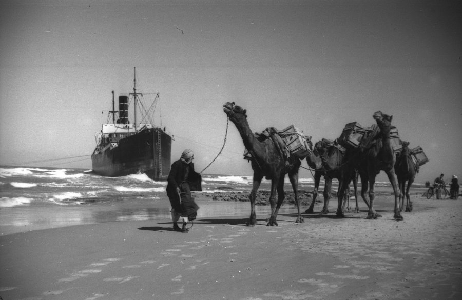 Morze i Plaża, fot. Ze’ev Aleksandrowicz 