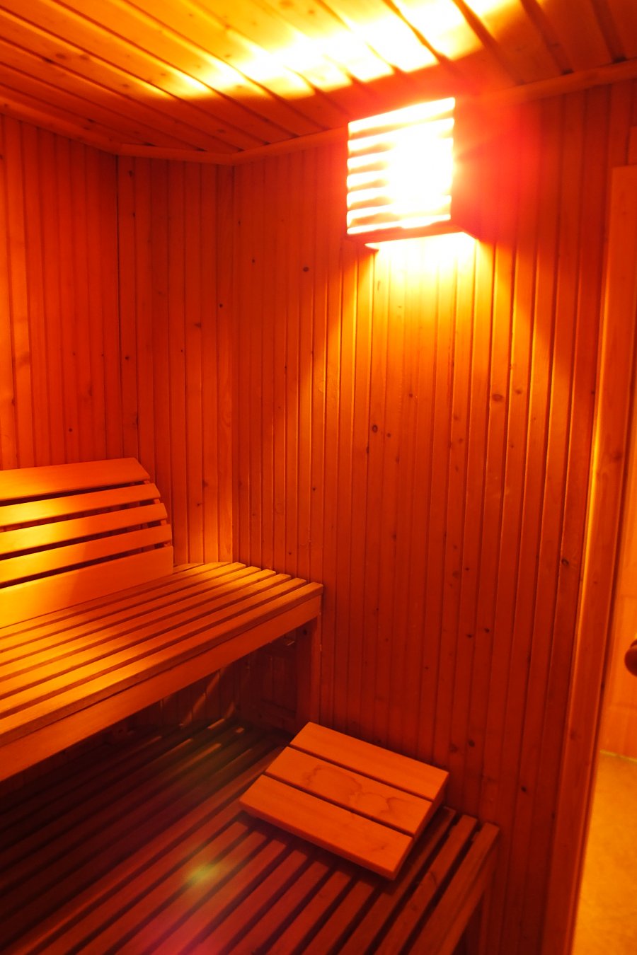 Dworek Mitro, sauna 