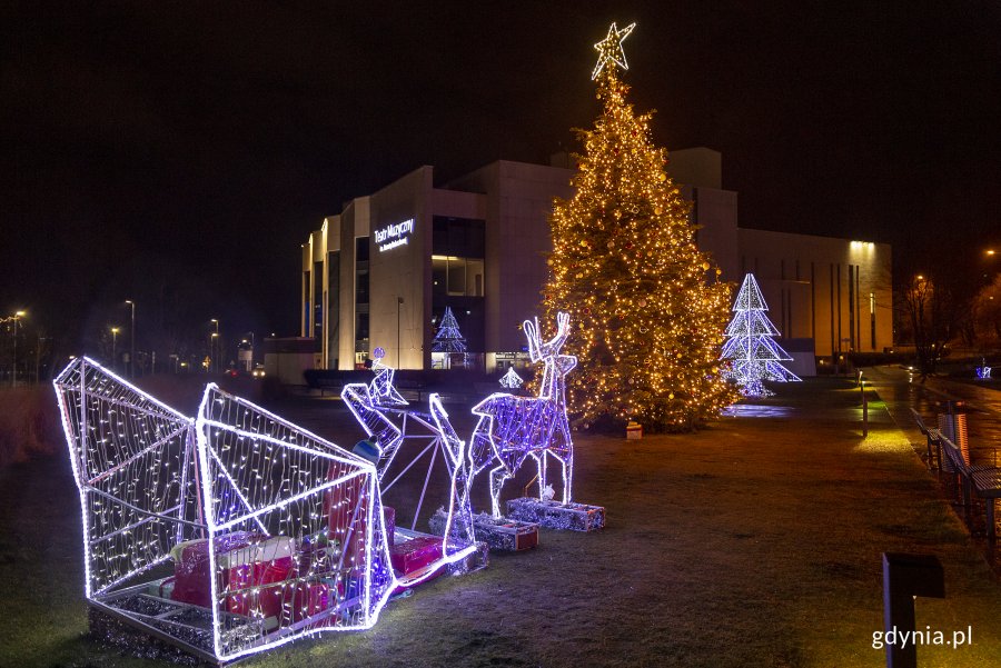 Świąteczne iluminacje na placu Grunwaldzkim. Z niebieskich światełek LED powstały sanie, które ciągnie renifer oraz mała choinka, widoczna w tle. Po środku stoi przyozdobiona choinka. Z tyłu widoczny jest Teatr Muzyczny. // fot. Przemysław Kozłowski