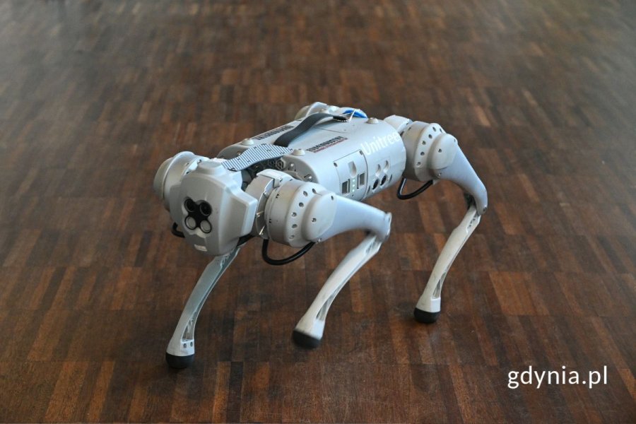 Szary robot w kształcie psa na brązowej podłodze