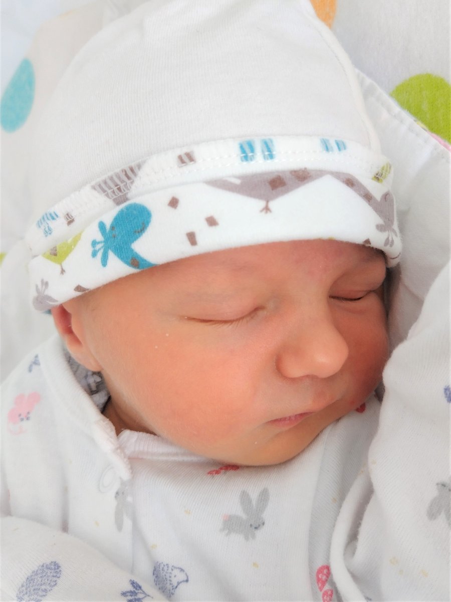 Daniel, 55 cm, 3420 g, 21.03.23