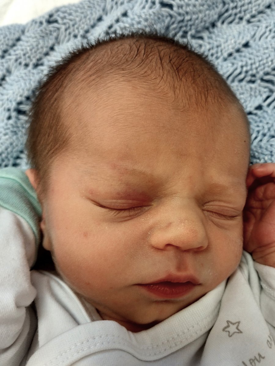 Julian, 50 cm, 2790 g, 8.04.24