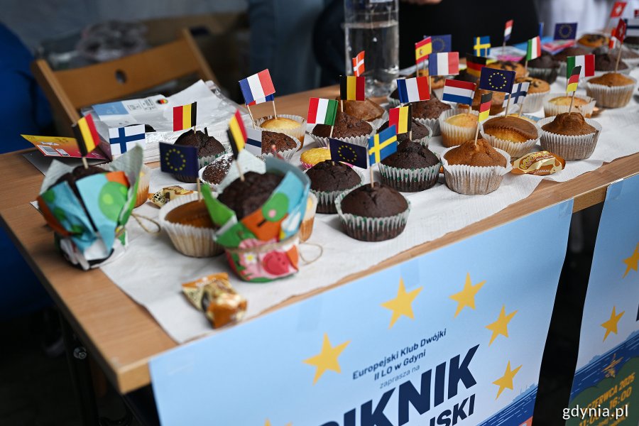 Piknik Europejski na Placu Wolnej Ukrainy w Gdyni (fot. Michał Puszczewicz)