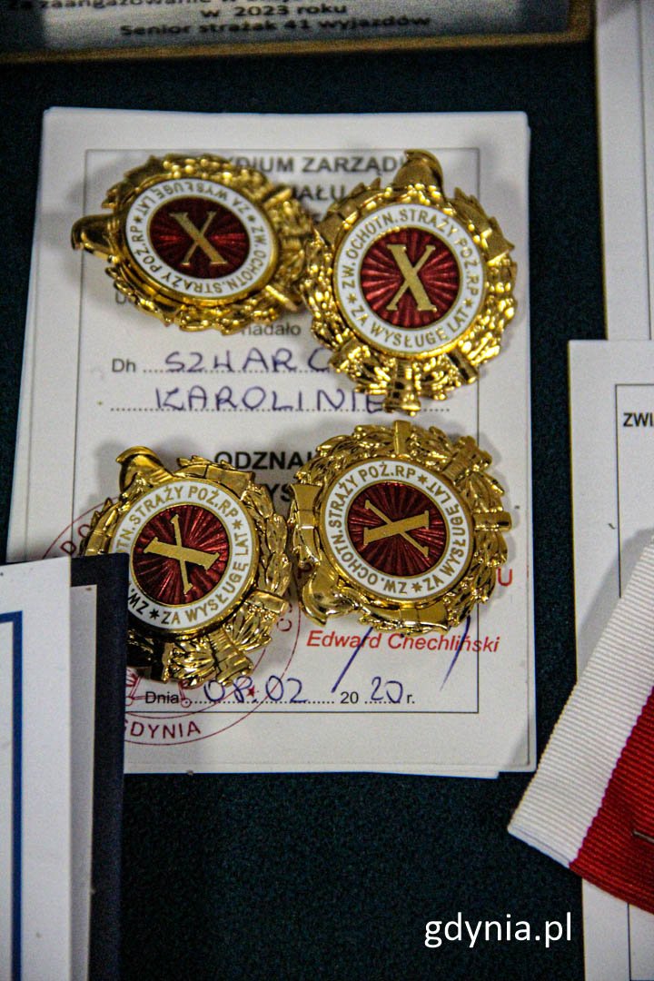Medale dla strażaków z OSP Wiczlino (fot. Michał Sałata, gdynia.pl)