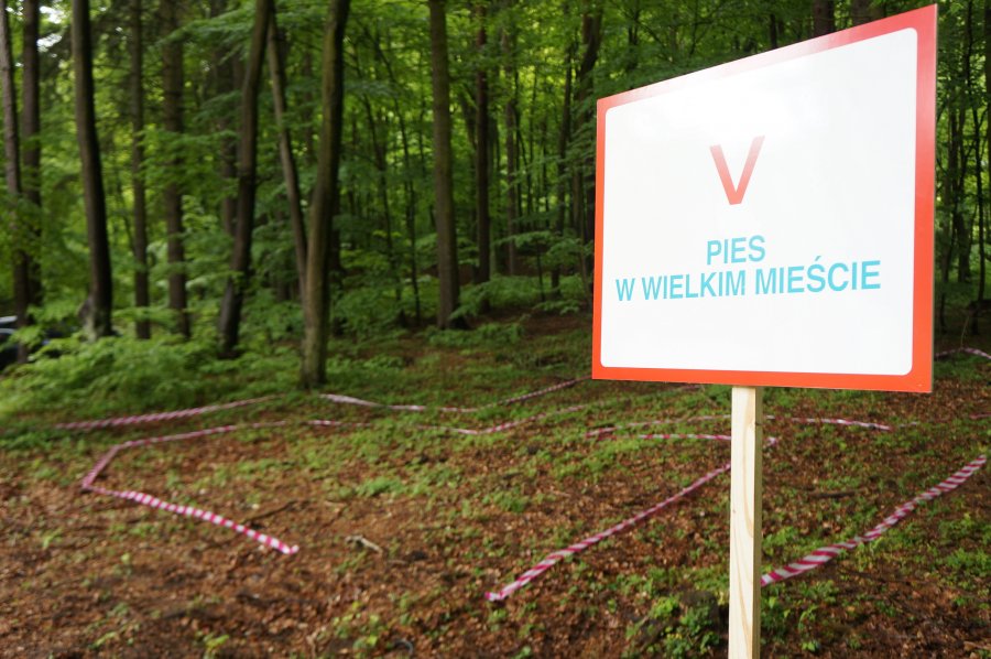 Gra terenowa - Odkryj nowe oblicze „Ciapkowa"