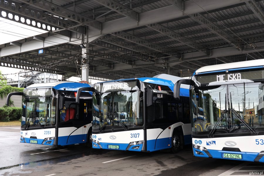 Trzy autobusy Solaris z napisami Gdyńska Komunikacja Miejska