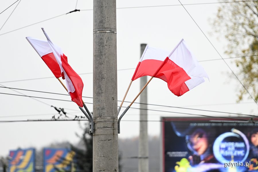 Cztery biało-czerwone flagi powiewające na jednej z ulic w Gdyni // fot. Michał Puszczewicz