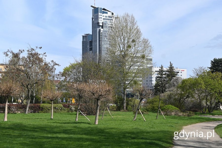 Park Rady Europy, widok na Sea Towers (fot. Magdalena Starnawska)