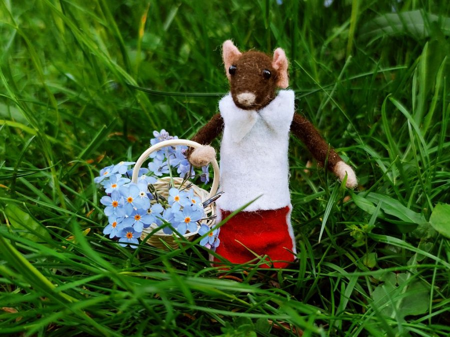 Brązowa myszka Ernest ubrana w białą koszulkę i brązowe spodenki idzie po zielonej trawie, a w koszyku ma niebieskie kwiaty // fot. Aneta Rychert, Mysie opowieści