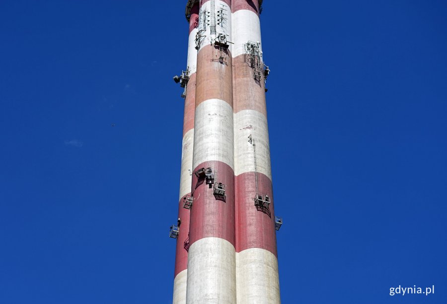 Obrączkowanie młodych sokołów z komina elektrociepłowni w Gdyni, fot. Kamil Złoch