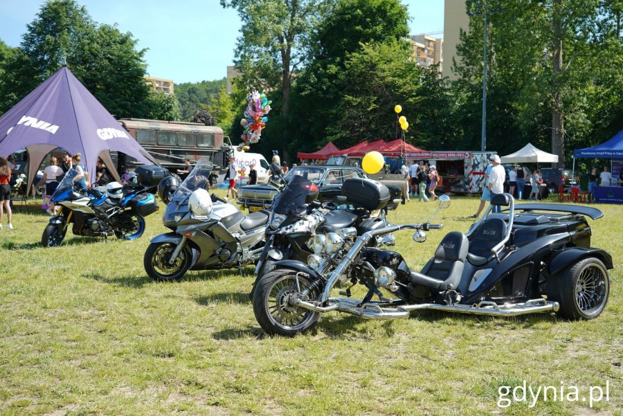 Zabytkowe samochody i motocykle (fot. Magdalena Starnawska)