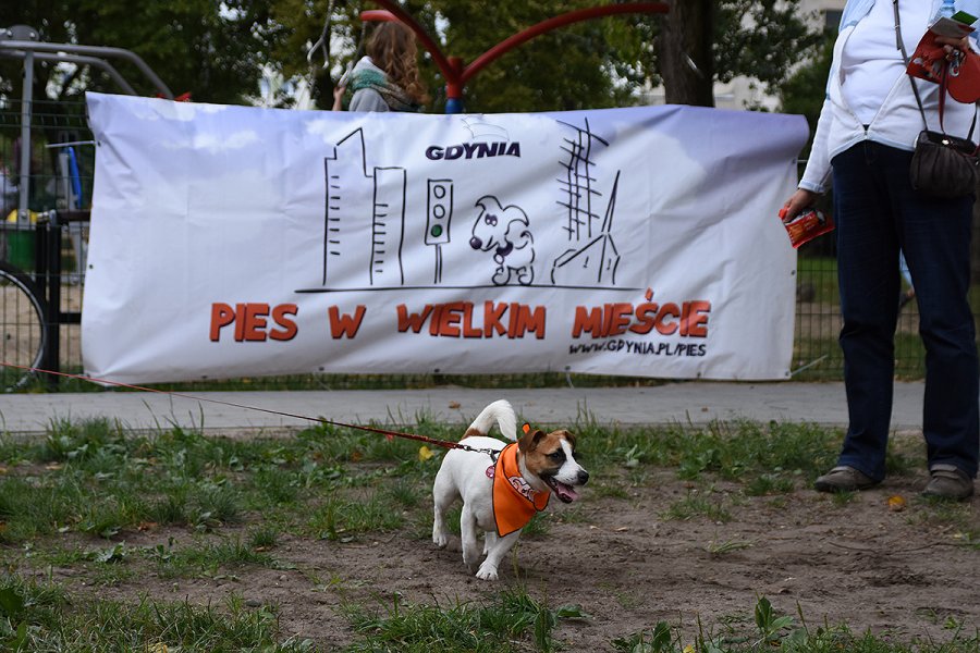 Otwarcie wybiegu na ul. Tucholskiej (Oksywie/Obłuże)