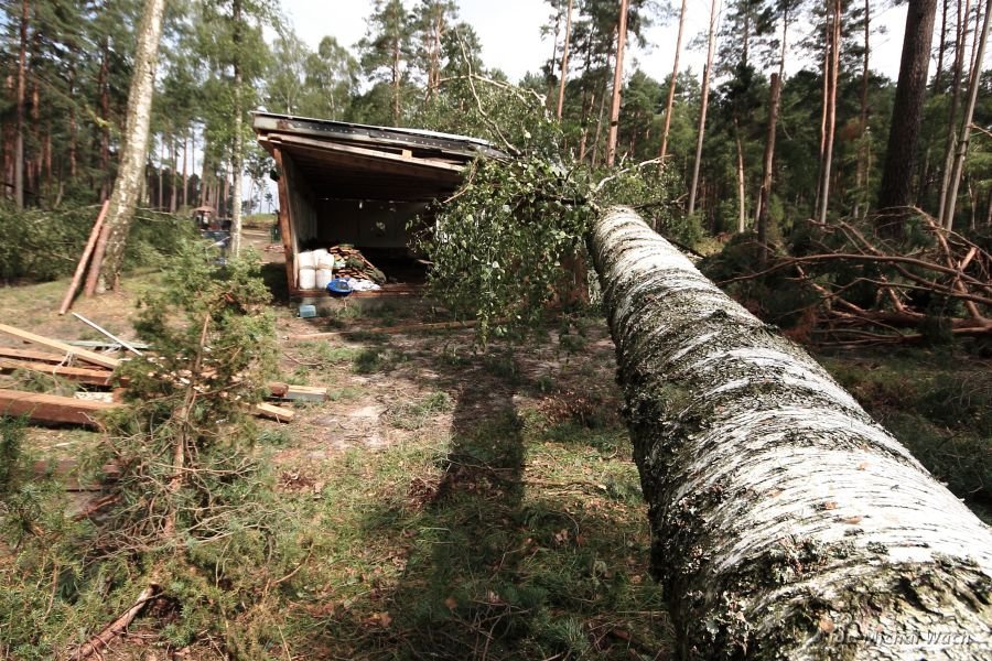  Harcerski Obóz w Czernicy po nawałnicy z 11.08 // fot.  Michał Wach 