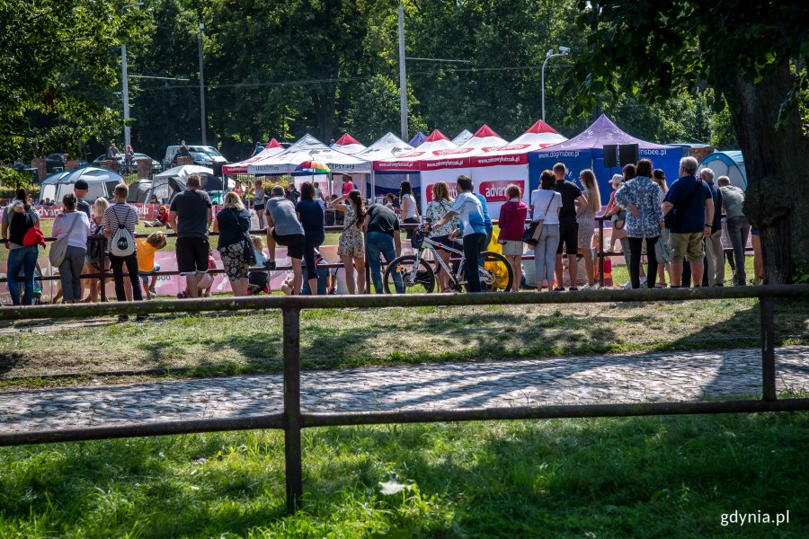 W parku Kolibki w Gdyni trwają ogólnopolskie zawody „Latających Psów” // fot. Dawid Linkowski