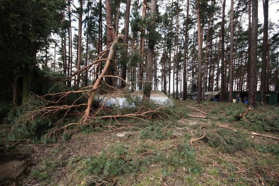  Harcerski Obóz w Czernicy po nawałnicy z 11.08 // fot.  Michał Wach 