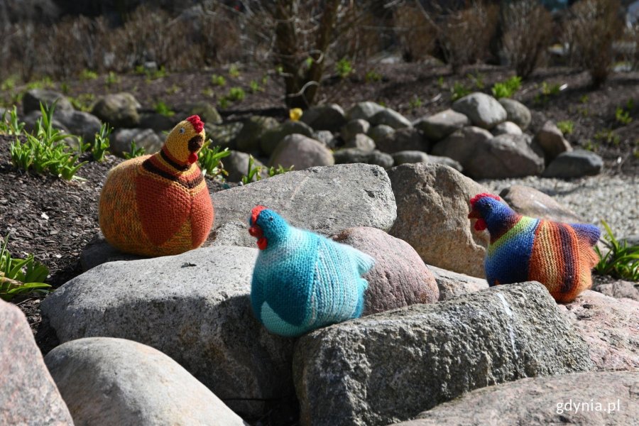 Wesoł&euml;ch Jastr&oacute;w! (fot. Adrianna Jask&oacute;łka)