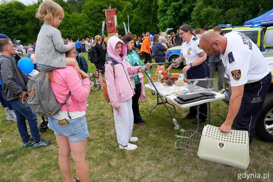 Miejski Dzień Dziecka &ndash; &bdquo;Morska przygoda z Treflikami&rdquo; w Kolibkach 