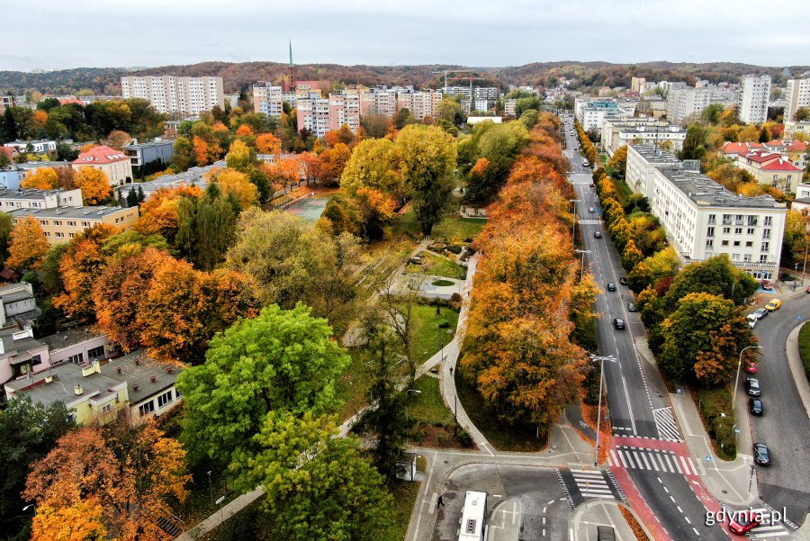 Park Centralny również zabarwił się na typowo jesienne kolory // fot. Michał Puszczewicz