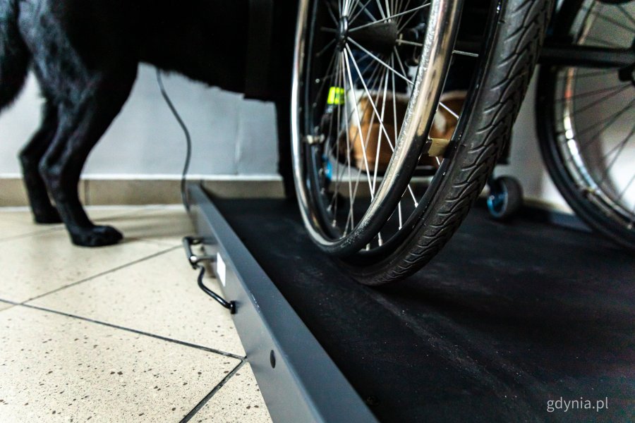 Specjalistyczna waga zakupiona na potrzeby Miejskiej Stacji Pogotowia Ratunkowego w Gdyni (fot. Kamil Złoch)