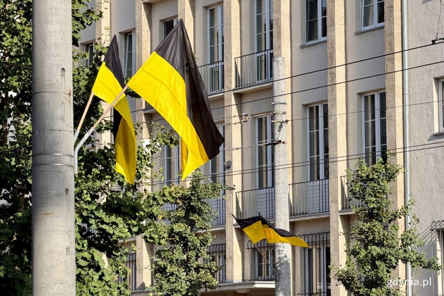 Kaszubskie flagi na masztach ul. 10 Lutego